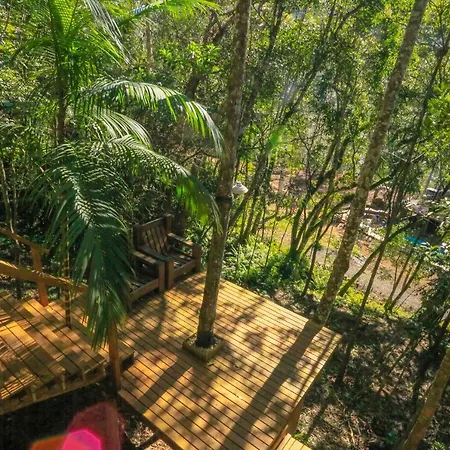 Chale Da Arvore, Vivenda Serra Velha, Chales De Montanha Timbe do Sul Exterior photo